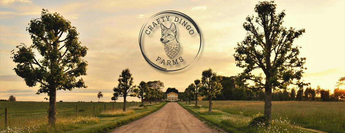 Welcome to The Dingo Blog – Where Craftsmanship Meets Country Life